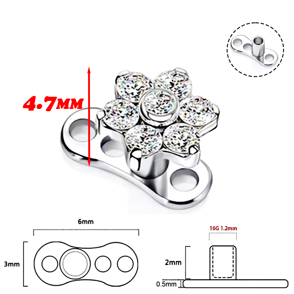 F136 alliage de titane de haut - Body Jewelry Implants avis et prix